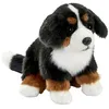 Image de Peluche Chien Bouvier Bernois Assis - 30 cm