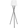Image de Lumisky Try C150
