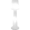 Image de Lampadaire dextérieur sans fil AUSTRAL RGB H110cm