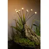 Image de Decoration Lumineuse Solaire G4435 - Forme Bouquet - 8 Led - H69cm