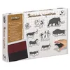 Image de Kit Outils Et Tampons Peinture Rupestres