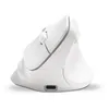 Image de Souris Ergonomique Sans Fil - BLUESTORK - ERGO - Lumineuse - PC/MAC - Noir