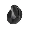 Image de Urban Factory ERGO PRO - souris - vertical - 2.4 GHz, Bluetooth 5.0 - noir