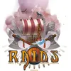 Image de Iello Raids en occasion ou reconditionné