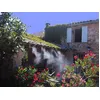 Image de Brumisateur de terrasse haute performance OFRESH - 6m - 6 buses laiton - Blanc - Garantie 2 ans