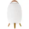 Image de Lanterne Nomade Musicale Ezilight Ambiant Xl Bluetooth Blanc