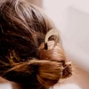Image de Pic à Chignon Doré, Bachca - Bachca
