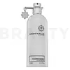 Image de Montale Fougeres Marines eau de parfum unisexe 100 ml