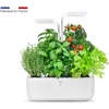 Image de Potager dintérieur Véritable® Classic - Cultivez vos herbes aromatiques facilement