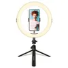 Image de Anneau Lumineux Realiview Arl11 Plastique Noir 11" (28 Cm) Agfaphoto