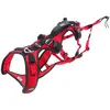 Image de Harnais cani-randonnée cani-trail CONFORT TREK S