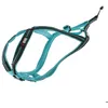 Image de Harnais pour chien I-DOG Canicross X-Back ONE - Bleu - XS