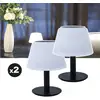 Image de Lot De 2 Lampes De Table Solaires Ezilight® Solar Lamp Xs10
