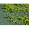 Image de Toile de paillage - Vert - 130gr/m² - Plié 1.65m x 100m Vert