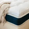 Image de Surmatelas plume de canard 160x200cm - Feather - Morphea