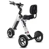 Image de Trottinette électrique 3 roues stable PMR sénior ES35 MATE 4 dosseret pneus pleins