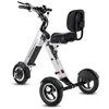 Image de Trottinette électrique 3 roues stable PMR sénior ES35 MATE 4 dosseret