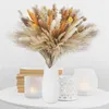 Image de 100pcs Pampa Séchée Naturelle Décoration Fleur Séché Bouquet Séché dherbe de Pampa Boho Arrangement Mariage Chambre Anniversaire