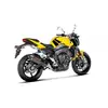 Image de Silencieux Akrapovic Carbone Yamaha FZ1 06-15
