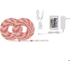 Image de Paulmann SimpLED 78980 Ruban LED (Set complet) avec connecteur mâle 12 V 10 m RVB 1 pc(s)