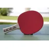 Image de DONIC SCHILDKRÖT Raquette de tennis de table Champs Line 300