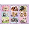 Image de Schmidt Spiele Puzzle Mes Amis Les Betes - 100 Pieces