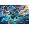 Image de Puzzle Enfants Schmidt Arctique 56484 150 Pièces Multicolore Carton