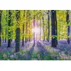 Image de Puzzle Schmidt Spiele 1000 Pièces 69.3 X 49.3 Cm Multicolor