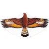Image de Cerf-volant monofil Steinadler - GUNTHER - Pour Enfant - Marron - A partir de 4 ans - Facile à diriger