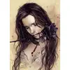 Image de Heye Puzzle Dark Rose, Français 1000