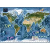 Image de Heye Puzzle Satellite Map 2000