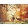 Image de Heye Puzzle Animaux Cerfs Forêt Magique 1000 Pièces Carton