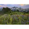 Image de Heye Puzzle Puz. Tatoosh Mountain 2000