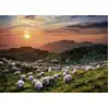 Image de Heye Puzzle Sheep Volcanoes 1000