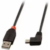 Image de Câble Usb 2.0 A Vers Mini Usb B Lindy 31972 2 M Noir