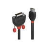 Image de Lindy Black Line cable adaptateur - HDMI / DVI - 2 m