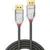 Image de Câble Displayport Lindy Cromo 2m 4k Gris