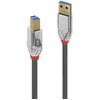 Image de Câble Usb A Vers Usb B Lindy 36661 Gris 1 M