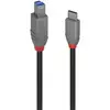 Image de Cable Usb 3.2 Type-c Lindy, 3 M, Ligne Anthracite