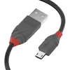 Image de Câble Usb Lindy 36732 1 M Noir