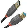 Image de Câble Usb A Vers Usb B Lindy 36741 1 M Noir