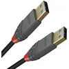 Image de Câble Usb Lindy 36754 Noir 5 M