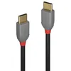 Image de Câble USB 2.0 type C - LINDY - Anthra Line - 2m - Double blindage - Connecteurs plaqués or