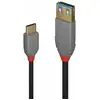 Image de Adaptateur Usb C Vers Displayport Lindy 36895 150 Cm Noir