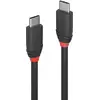 Image de Lindy Câble Usb 3.1 Type C 3a Black Line 1.5m