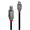 Image de Lindy Anthra Line - Cable USB de type-C - 24 pin USB-C pour USB type B - 1 m