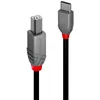 Image de Câble Usb C Vers Usb B Lindy 36942 Noir 2 M
