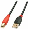 Image de Câble Usb A Vers Usb B Lindy 42761 10 M Noir Multicouleur