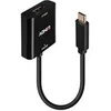 Image de Lindy - adaptateur video - 24 pin USB-C pour DisplayPort - 21 cm