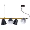 Image de Naeve triton plafonnier suspendu noir 4xe27